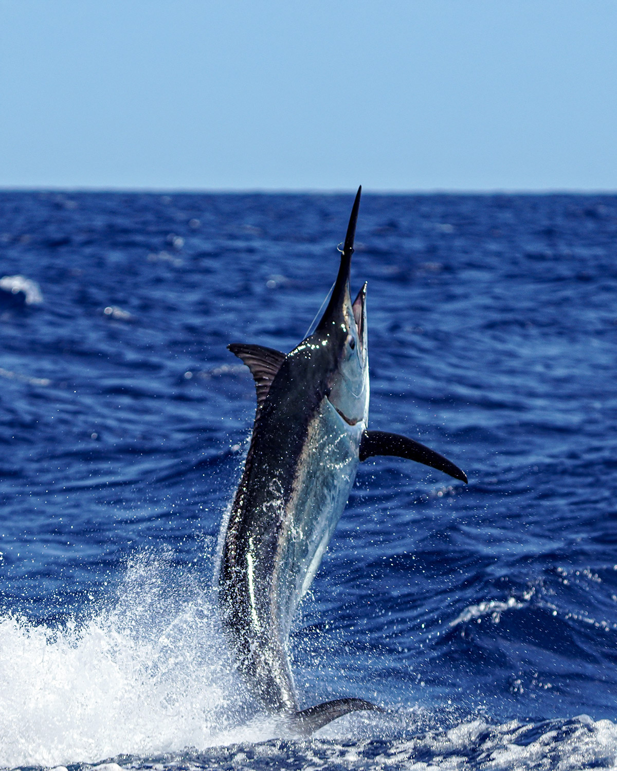 Charters